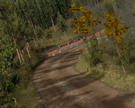tr